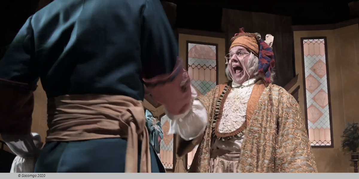 The Imaginary Invalid