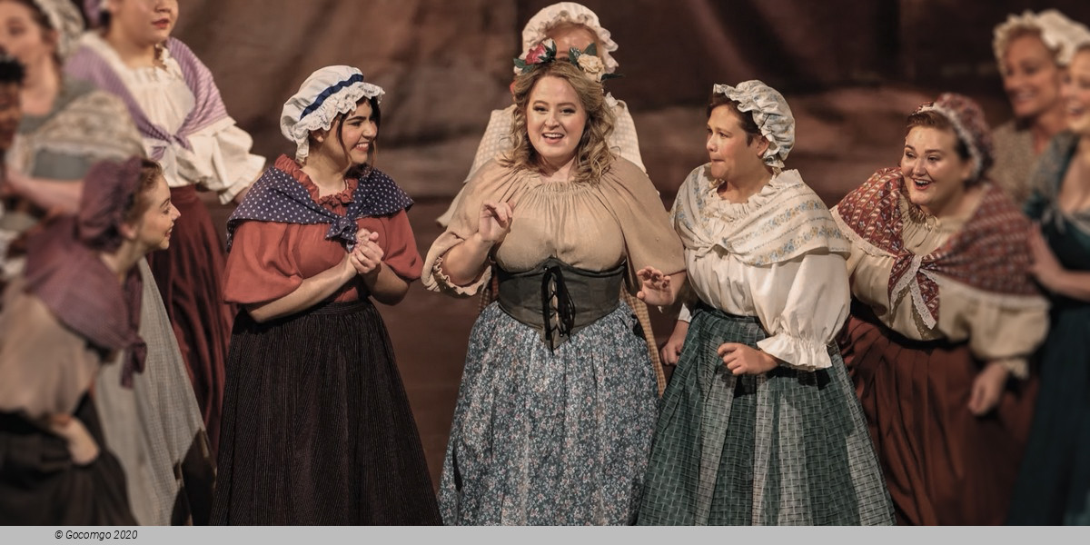 L’elisir d’amore (main), photo 12