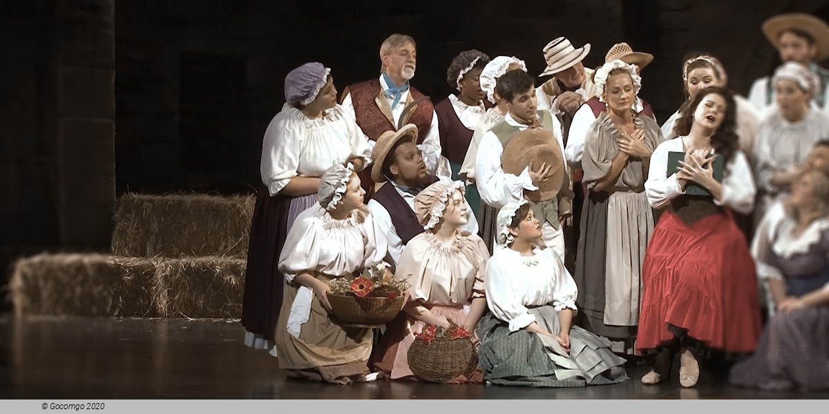 L’elisir d’amore (main), photo 14