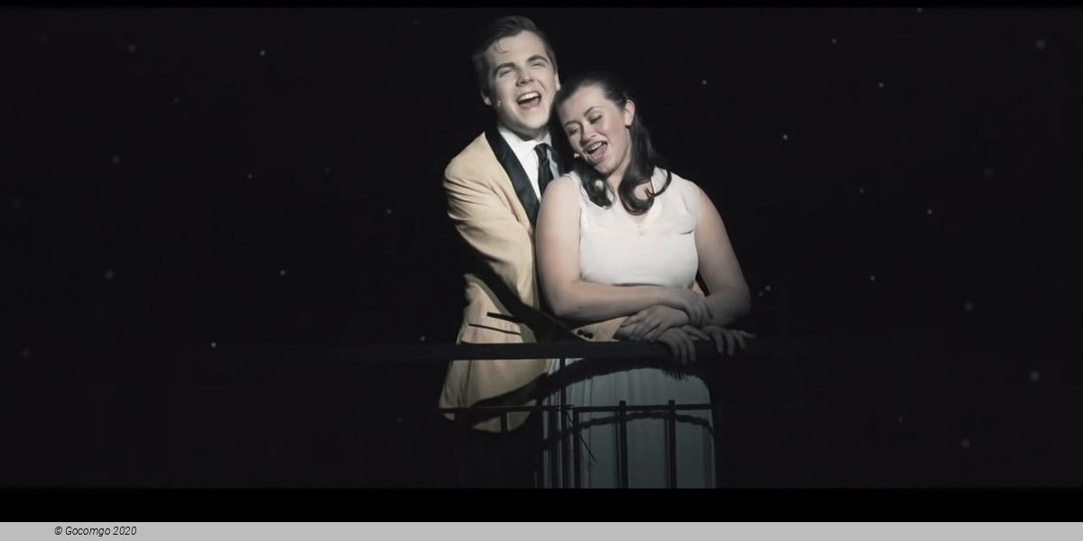 Scene 7 from the musical "West Side Story", photo 7