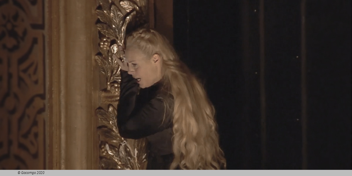 Scene 8 from the opera "Les Huguenots", photo 9