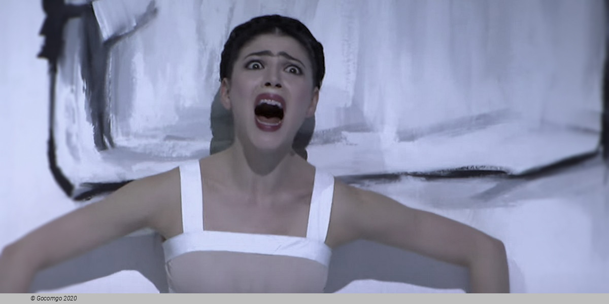 Scene 10 from the ballet "Frida"