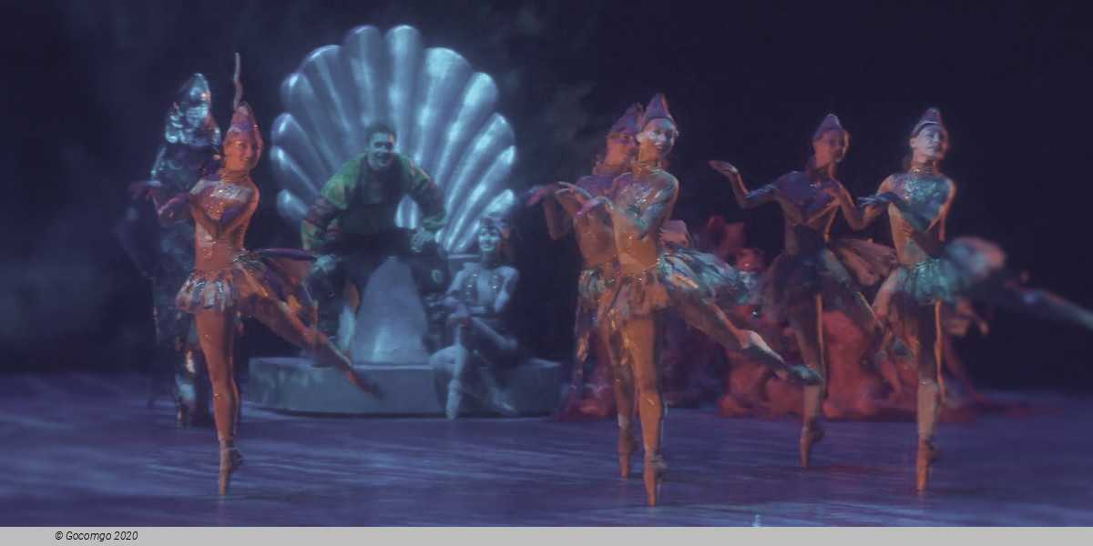 The Little Humpbacked Horse, photo 14