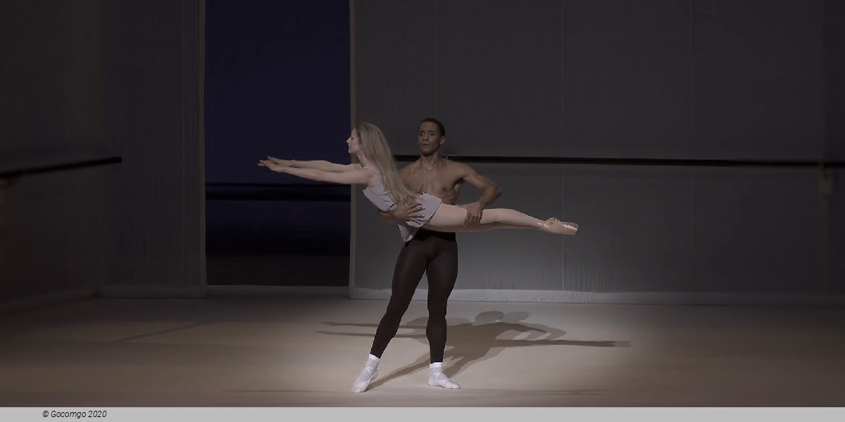 Scene 3 from the ballet "L'Après-midi d'un faune", photo 8