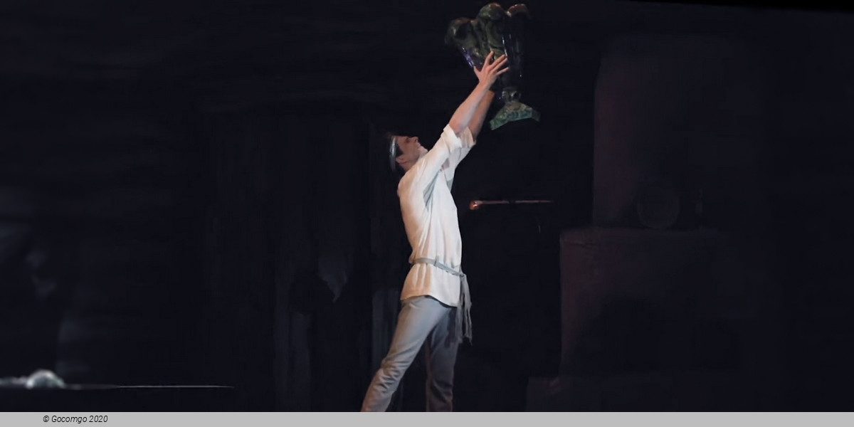 The Tale of the Stone Flower