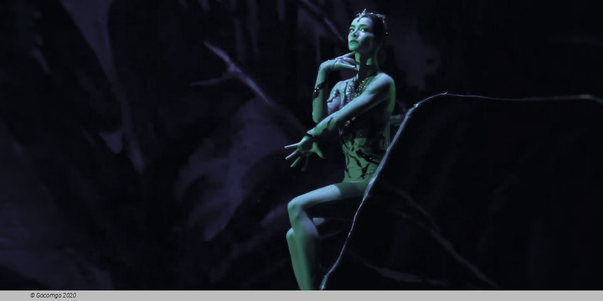 The Tale of the Stone Flower