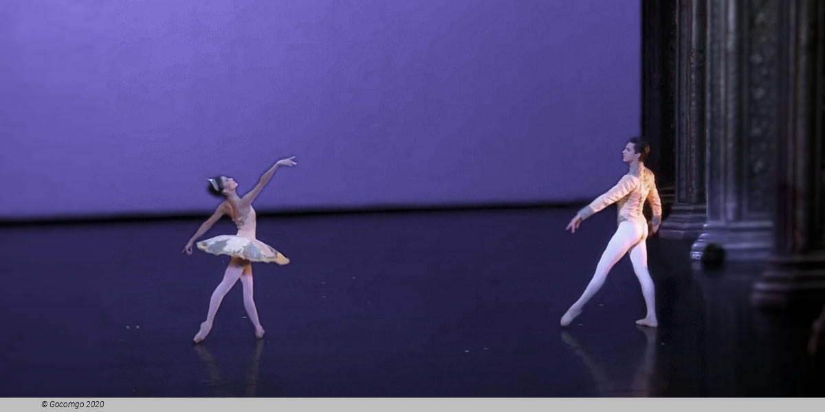 Theme and Variations, photo 3