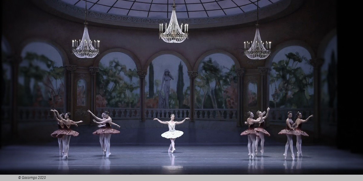 Theme and Variations, photo 5