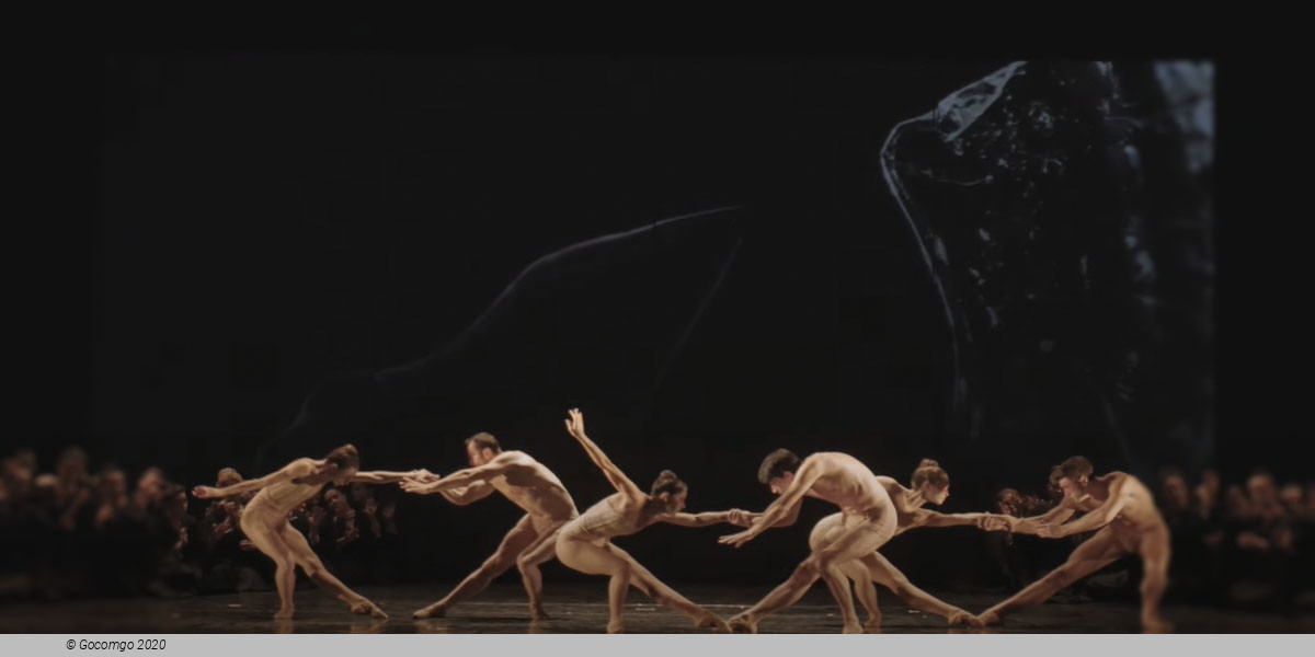 Carmina Burana, photo 4