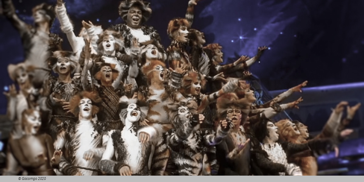 Scene 4 from the musical "Cats"