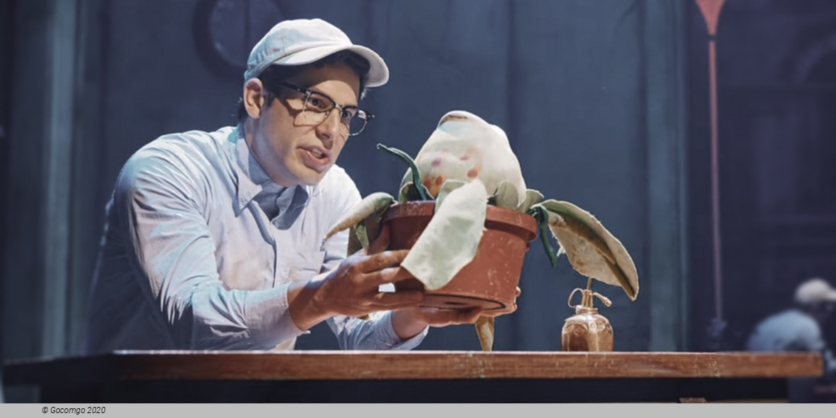 Scene 8 from the musical "Little Shop of Horrors", photo 1