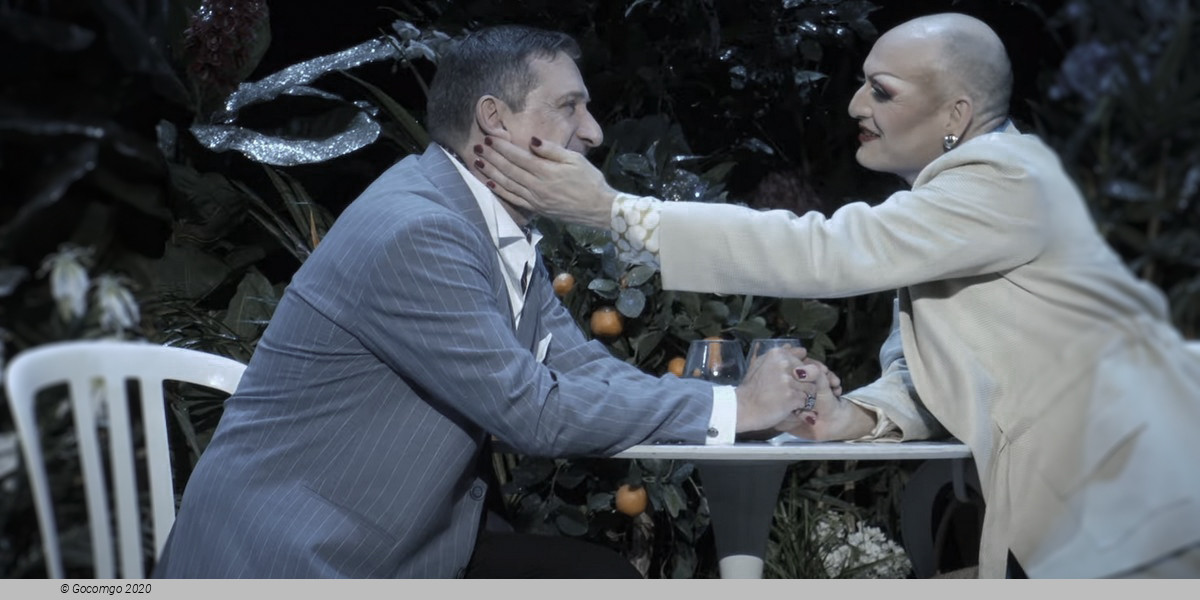 Scene 8 from the musical "La Cage aux Folles", photo 8